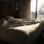 Morning sunlight falling across a bed