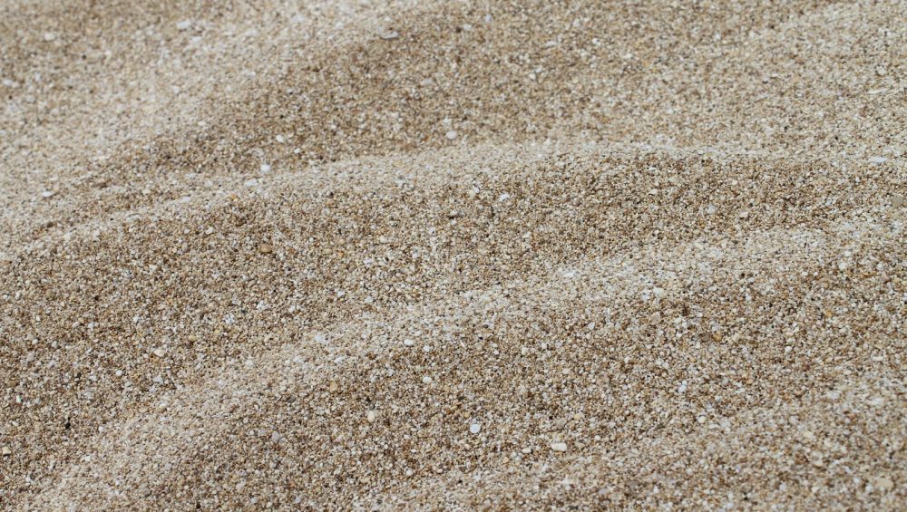 Fine rippled sand