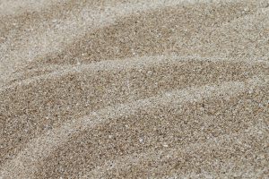 Fine rippled sand