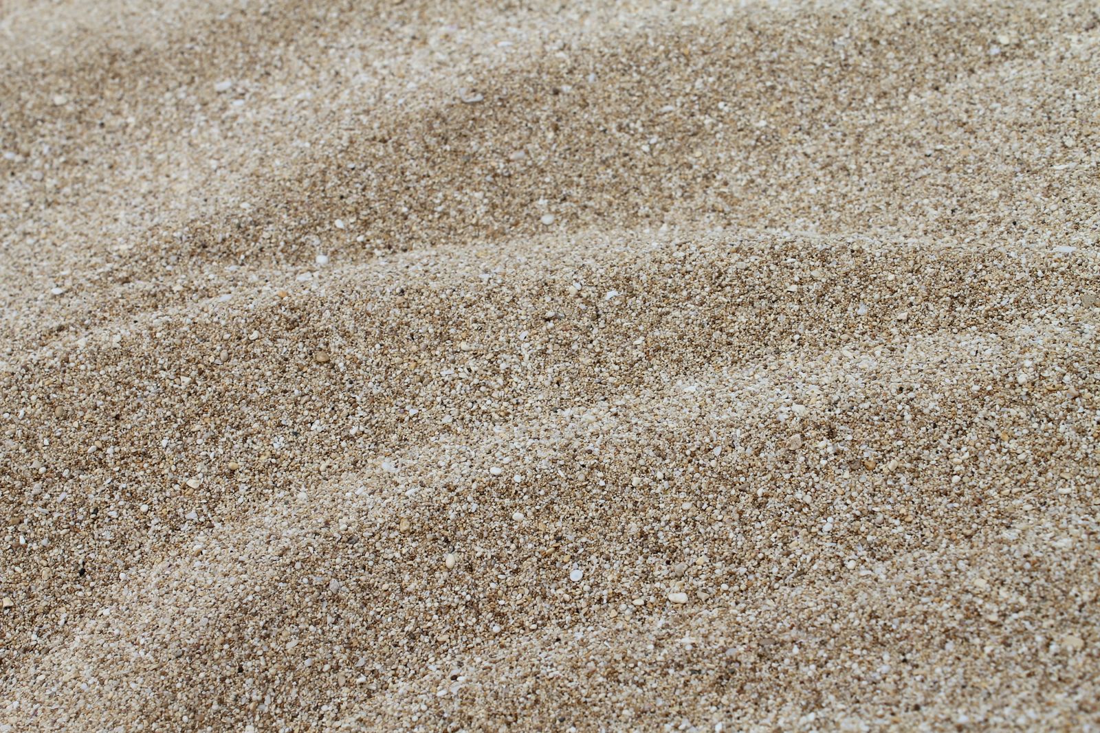 Fine rippled sand