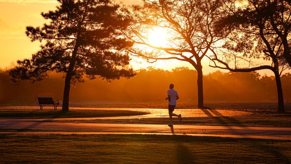 Runner in a park at sunrise