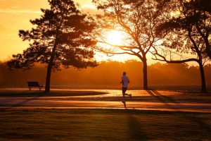 Runner in a park at sunrise