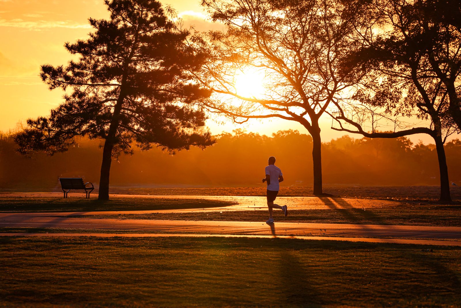 Runner in a park at sunrise