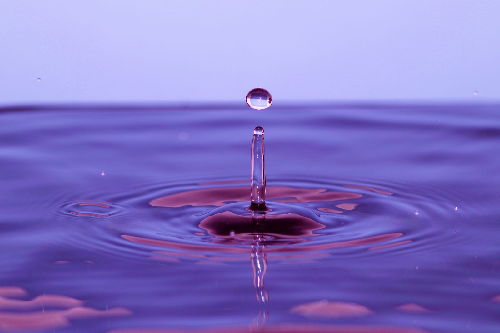 A single drop falling into violet liquid