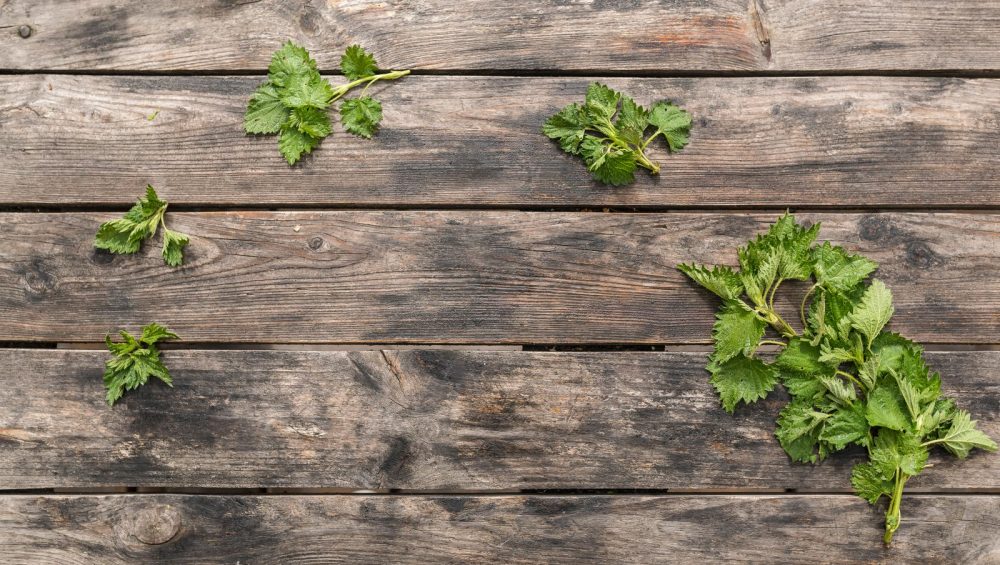 Fresh herbs laid out on a wooden table