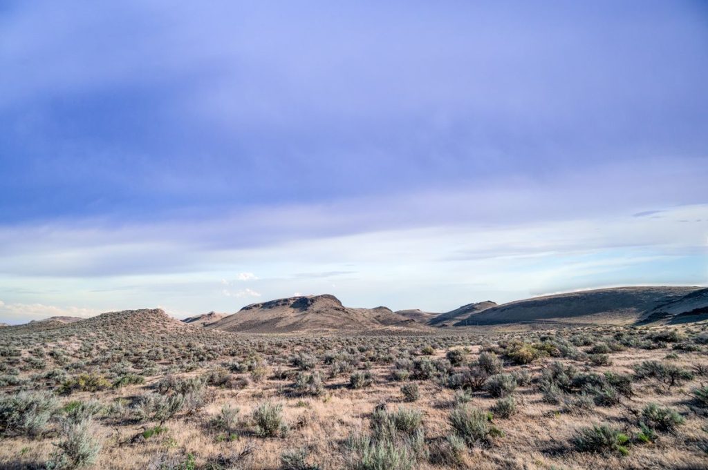 Dry desert scrubland under a pale blue sky