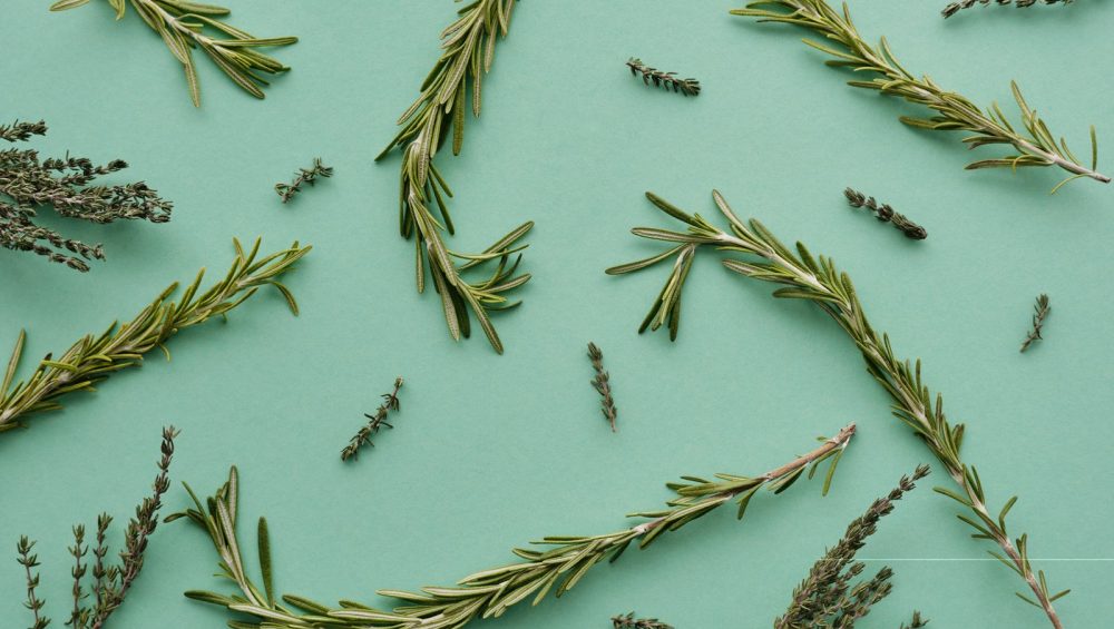 Fresh rosemary and thyme sprigs scattered on a pale green surface