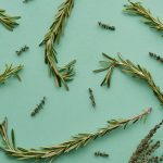 Fresh rosemary and thyme sprigs scattered on a pale green surface