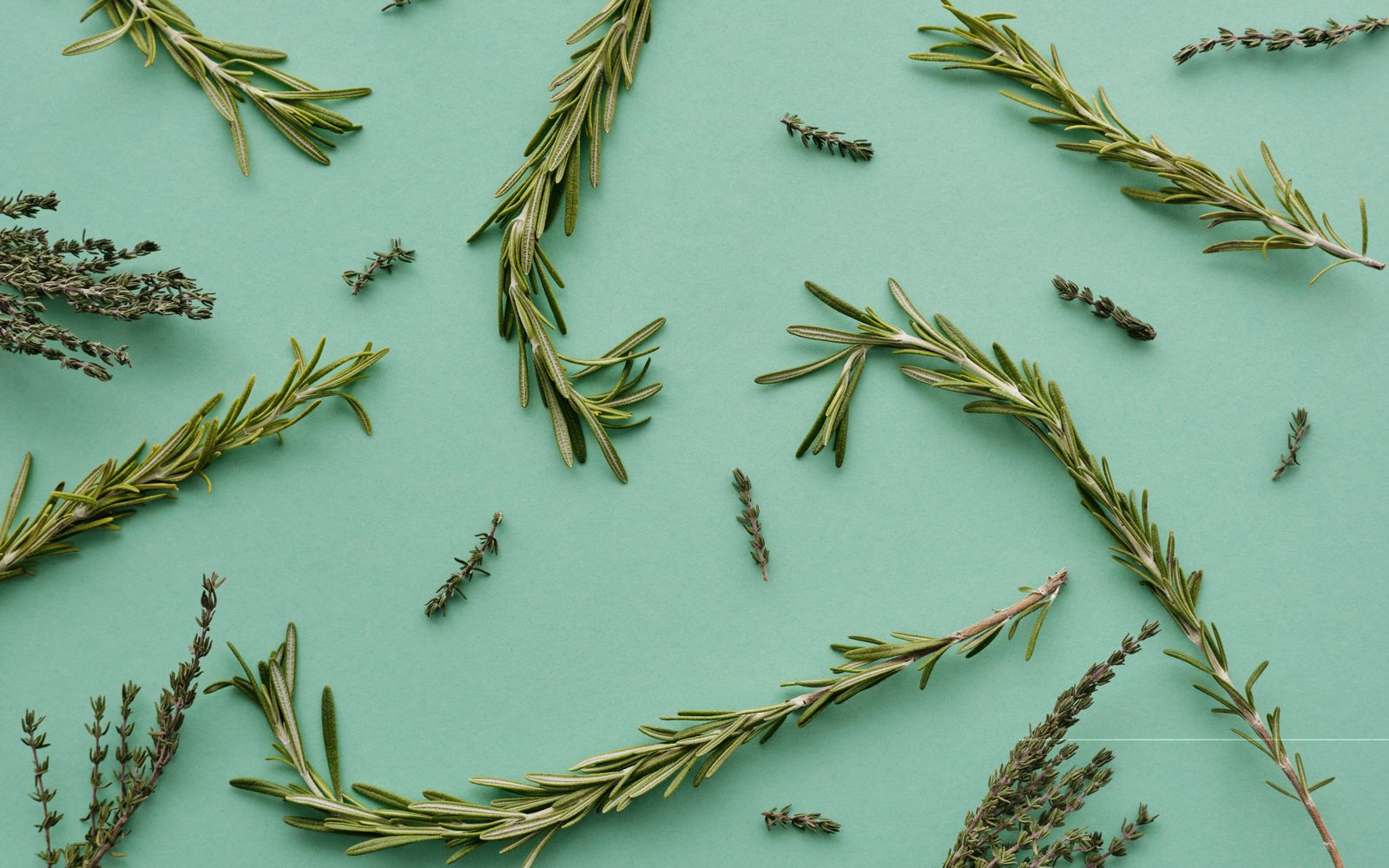 Fresh rosemary and thyme sprigs scattered on a pale green surface