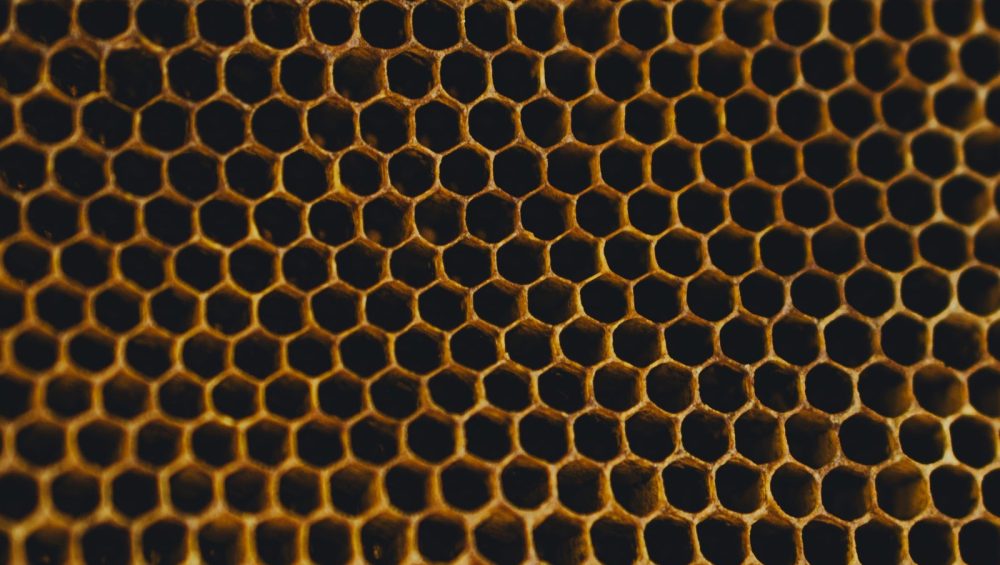 Close-up of honeycomb, the hexagonal wax cells catching the light