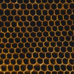 Close-up of honeycomb, the hexagonal wax cells catching the light