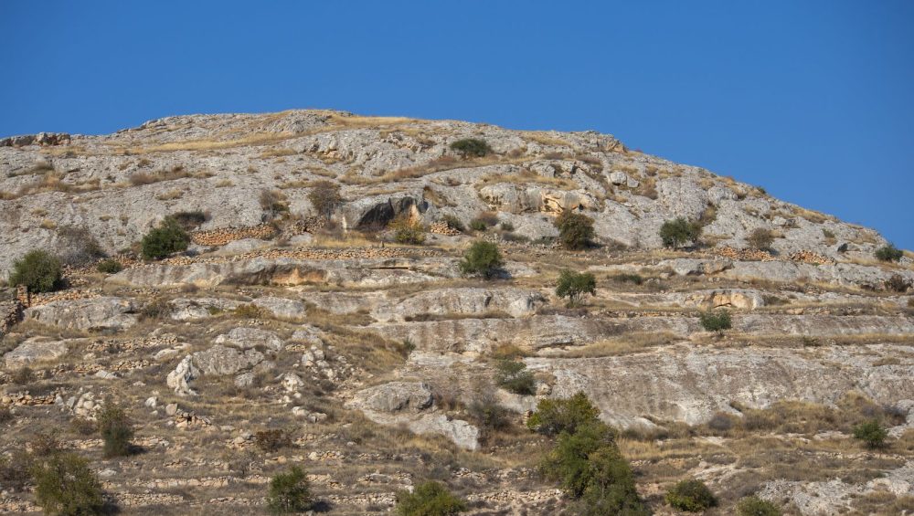 A cloudless blue sky over a dry, rocky desert hillside with sparse shrubs in strong midday light