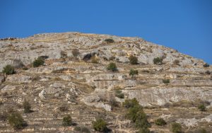 A cloudless blue sky over a dry, rocky desert hillside with sparse shrubs in strong midday light