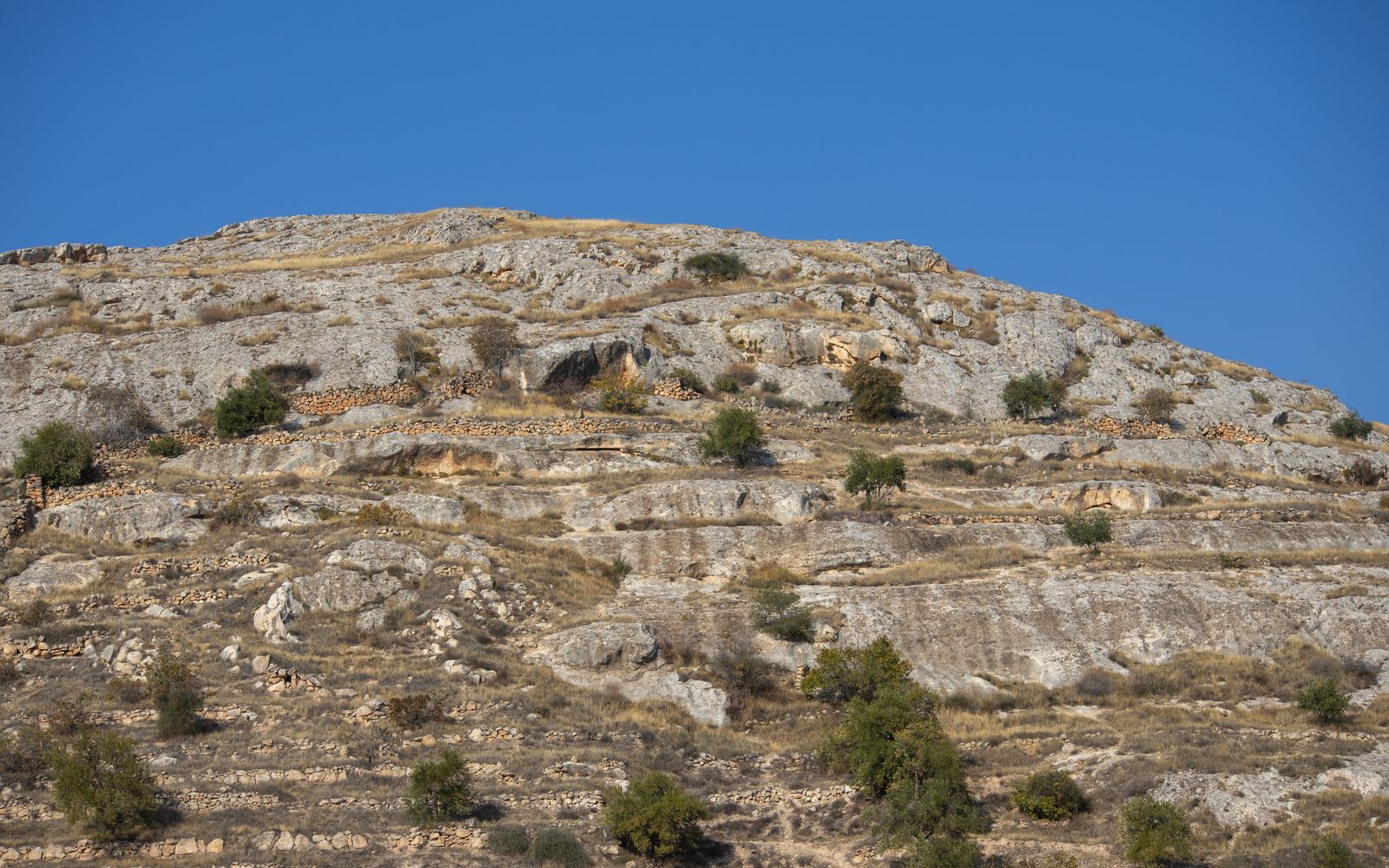 A cloudless blue sky over a dry, rocky desert hillside with sparse shrubs in strong midday light