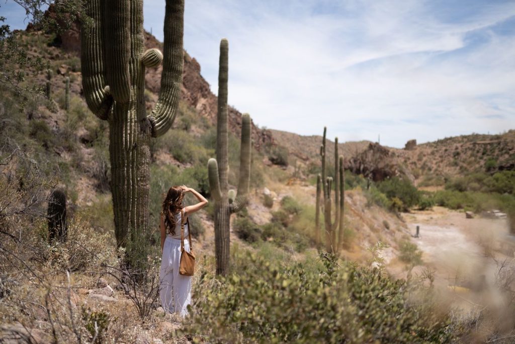 A woman in a long white dress shading her eyes as she stands among tall saguaro cacti on a bright desert hillside